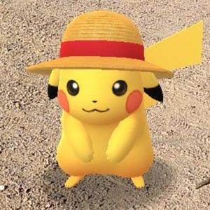 Meet your Posher, Charizard